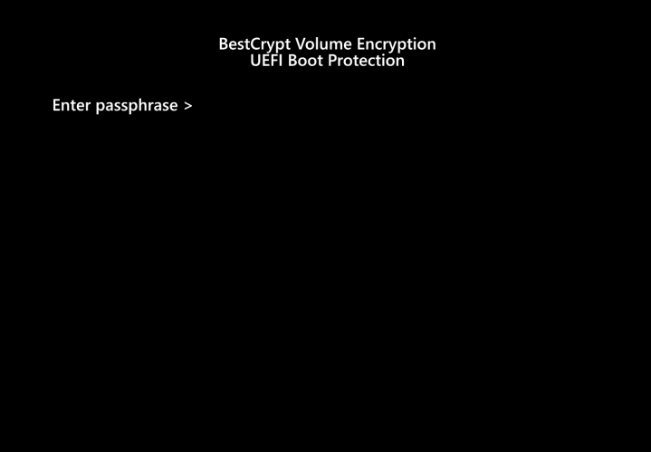 Screenshot Step 6 Encrypt with BestCrypt Volume Encryption