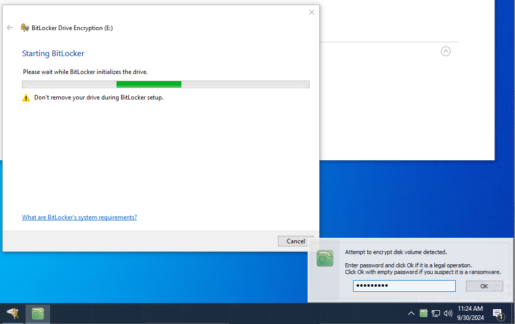Disk volume level protection against ransomware