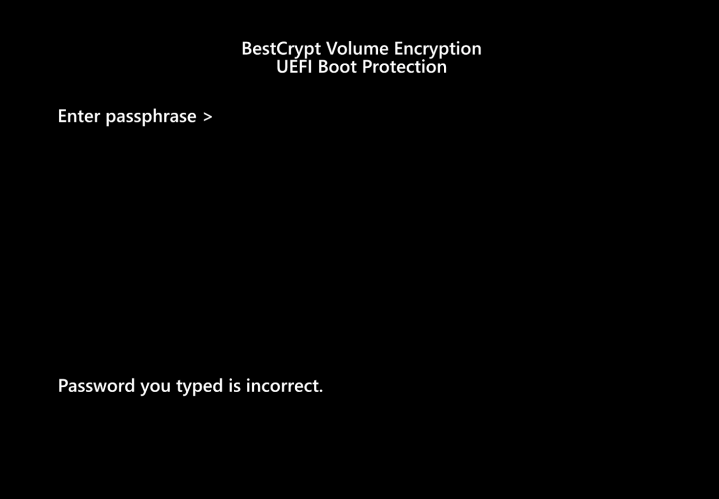 Screenshot Step 6.1 Encrypt with BestCrypt Volume Encryption