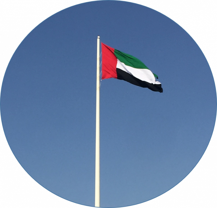 UAE flag for NESA encryption requirements